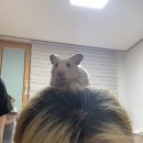 지오클루 | 완벽한 때라는 건 없다