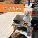 피플앤독 | [강원 홍천] 애견 호텔계의 에르메스 소노펫 방문기, 띵킹독 메뉴추천