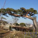 여주공인중개사사무소 이미지