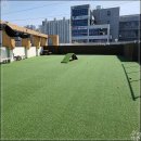 돌봄 애견 이미지