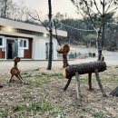 달사랑캠핑장