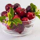 비타민슈퍼마켓 이미지