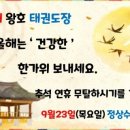 경희대 삼호 태권도장 이미지