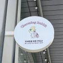 챠밍애견 이미지