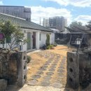 제주청년살이 이미지