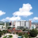 서울대학교병원 이미지