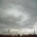 갯골생태공원 이미지