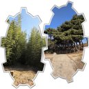 CU서산동문평화점 | 서산여행 : 낮은 성벽 너머의 평온함, 해미읍성