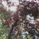 잠자리어린이공원 이미지