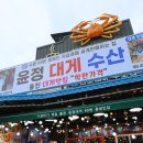 울진해양경찰서 후포파출소 | 울진 후포항 대게 맛집 푸짐한 한상차림 윤정대게수산