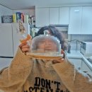 청운동물병원 | [기록] 합격 후 나의 2월 with 귀인들…