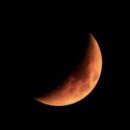 일지춘(한국 하이쿠 5-83) 구미호 눈썹/반산 한상철 이미지