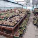 금희농장 이미지