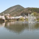 영산 연지못 이미지