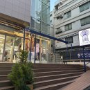 윈저쥬니어 네이버블로그