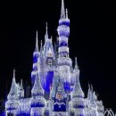 Disney World_디즈니월드(미국 플로리다 올랜도)