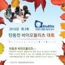 탄동천2 이미지