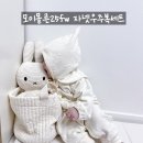 육아템ㅣ모이몰른 자넷우주복세트 아기추석빔 추천