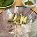 진동둔횟집 | 신사맛집 / 잠원동 진동둔횟집