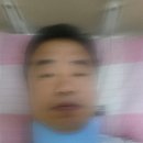 국민돼지 이미지