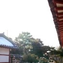 김성수 농장 이미지