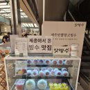 앗빙수 | 대전 빙수 맛집｜대전신세계 빙수 팝업에서 만난 세종 로컬 브랜드 앗빙수 후기