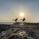 경희대 석사 태비 태권도 이미지