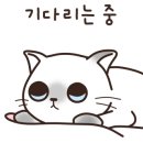 해피고양이분양 이미지