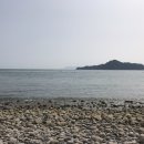 백야도 등대 Daum카페