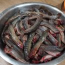 사계절보신탕
