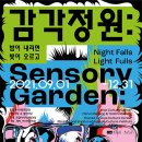 밤의감각 이미지