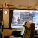 도그미뇽 이미지