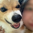 순심이안경 | 가을양 어서 와요