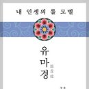 제5 문수사리문질품: 5-8 환자로서의 보살행에 대한 정의. 이미지