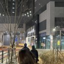 청춘삼겹살 | 대구 청춘삼겹살 본점 솔직후기