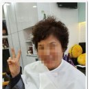 옥미장