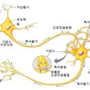 베리타스컨설팅
