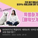 스튜디오바라바라
