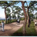 부산시민공원 이미지