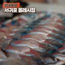 서귀포 올레시장 횟집 나원회포차 고등어회 가격 회포장 후기