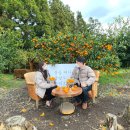 민정농장 | [제주/신혼여행] 6일차: 신라호텔 런치부터 귤 따기 체험, 롯데호텔 호캉스와 ‘연돈’ 성지순례까지!