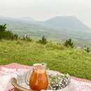 스테이동백 이미지