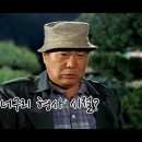 조상건 카카오 검색결과