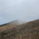 도계동011 이미지