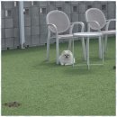 아로하스토리 이미지