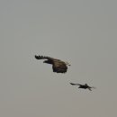 006-문산-006 이미지