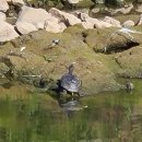 광천초병설유치원 이미지