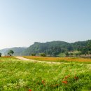 명재목장 이미지