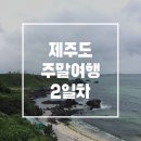 더놀맨 이미지