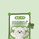 서울대학교 대학원 이미지